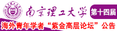 我想日逼南京理工大学第十四届海外青年学者紫金论坛诚邀海内外英才！